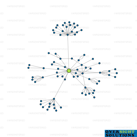 Network diagram for LNI MASONIC INVESTMENT LTD