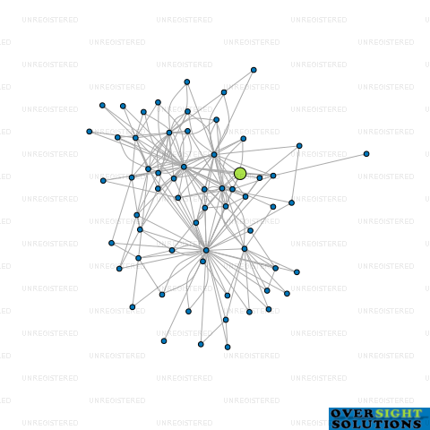 Network diagram for HIBROS LTD