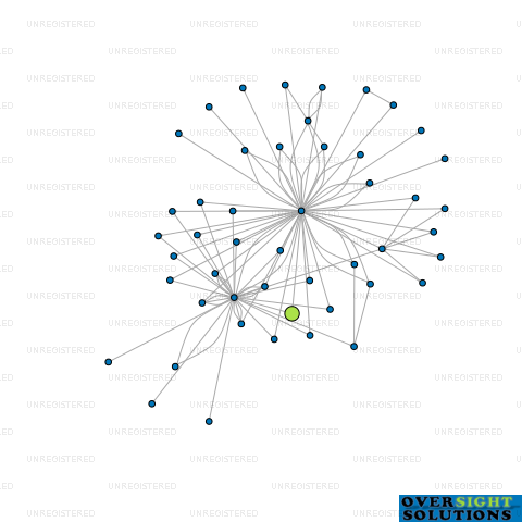 Network diagram for 265 VICTORIA AVENUE LTD