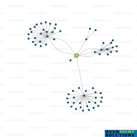 Network diagram for 305 LTD