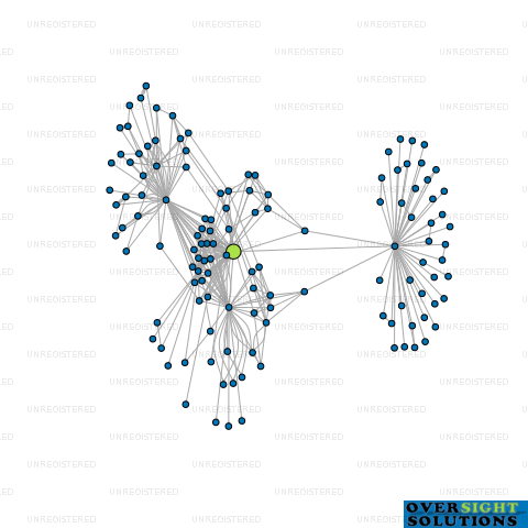 Network diagram for SILVERFIN CAPITAL LTD
