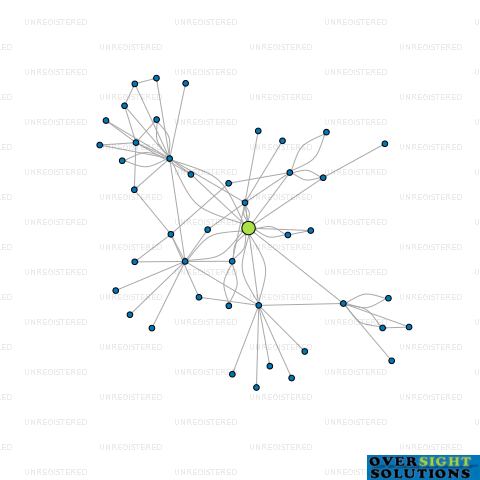 Network diagram for muri capital investments limited