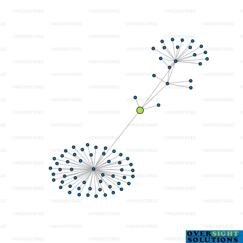 Network diagram for NZ FUNCTIONAL FOODS LTD