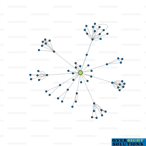 Network diagram for TUIPOINT INTERNATIONAL LTD
