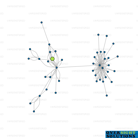 Network diagram for 123 INVESTMENT TRUSTEE CO LTD