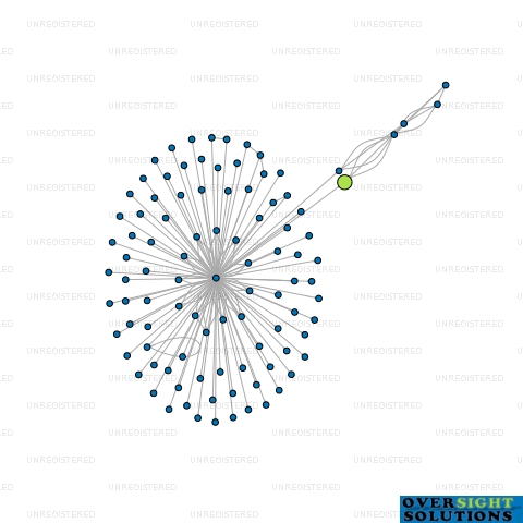 Network diagram for WINDSHADOW LTD