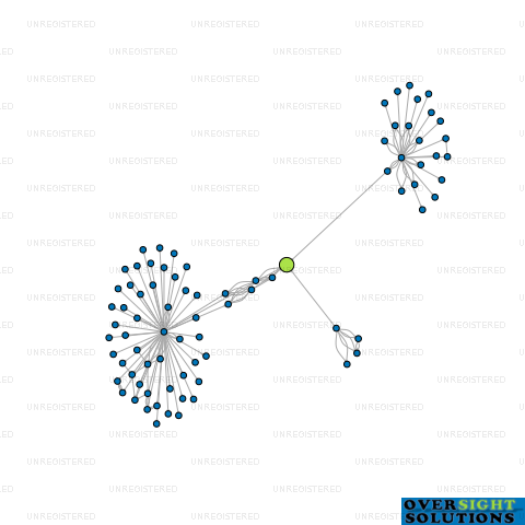 Network diagram for WISHART MARKETING LTD