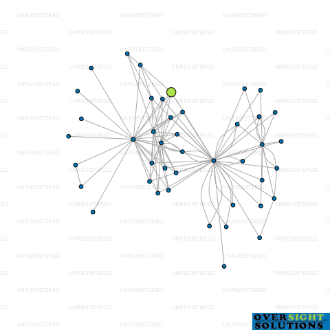 Network diagram for WILSON STORAGE NEW ZEALAND LTD