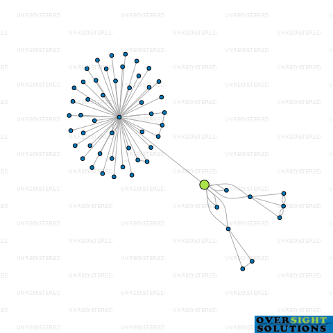 Network diagram for LYNE ENTERPRISES LTD