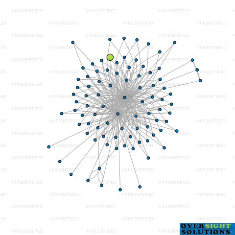 Network diagram for 37 HANENE LTD