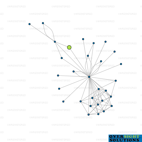 Network diagram for TULSHYAN HOLDINGS LTD