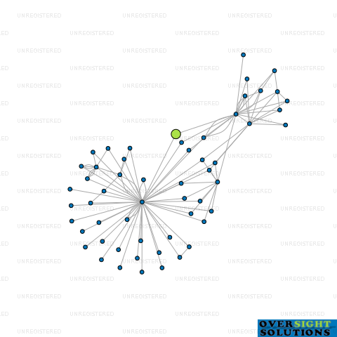 Network diagram for CONEBURN PRESERVE HOLDINGS LTD