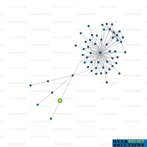Network diagram for RECYCLEANER INTERNATIONAL LTD
