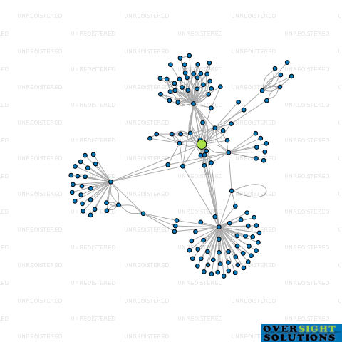 Network diagram for PREMIER INVESTMENTS TIMARU LTD