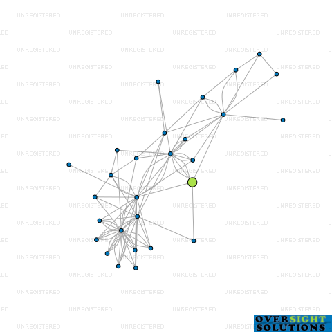 Network diagram for 19 SHAMROCK LTD