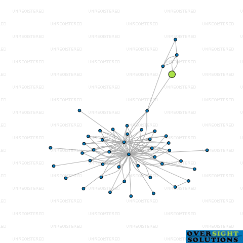 Network diagram for CONSTELLATION MOTORS LTD