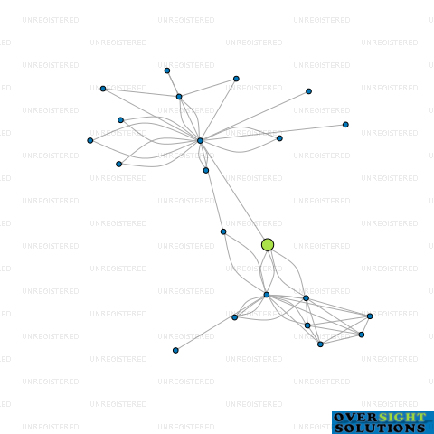 Network diagram for WING YOUNG 92 INVESTMENTS LTD