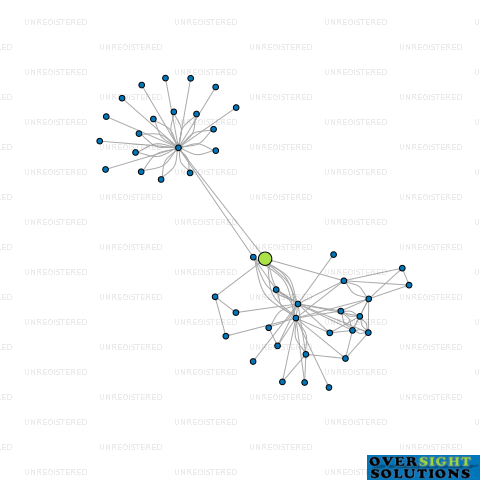 Network diagram for TE HENUI HOLDINGS LTD