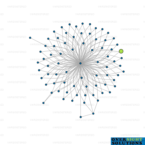 Network diagram for HERRICK TRUSTEE SERVICES LTD
