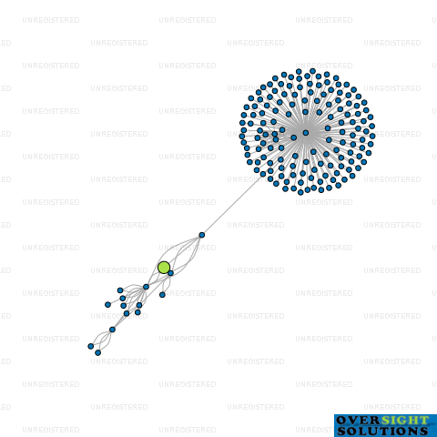 Network diagram for 4 MITTALS LTD