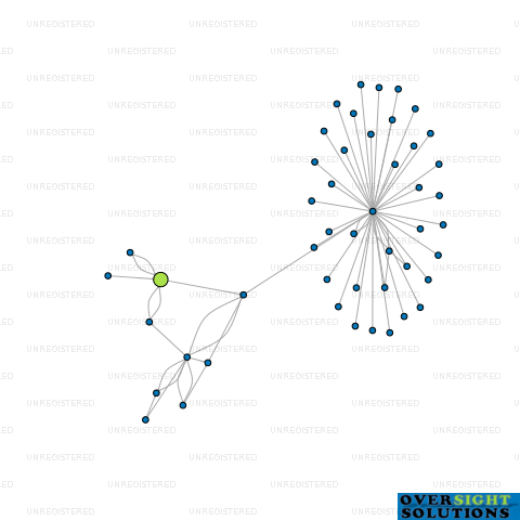 Network diagram for MANGERE PHARMACIES LTD