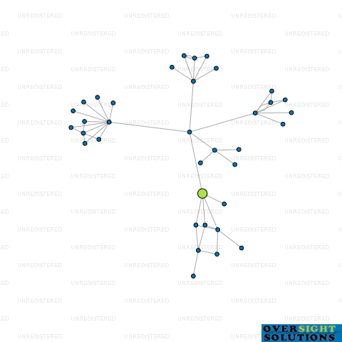 Network diagram for 3M NEW ZEALAND TRUSTEE LTD