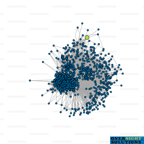 Network diagram for DSG PROJECT MANAGEMENT LTD