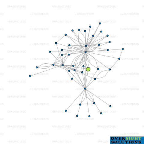Network diagram for 455 LTD
