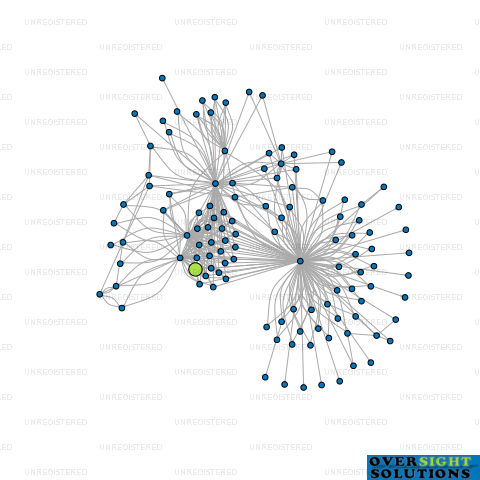 Network diagram for WILSON PARTNERS MCKENNA TRUSTEES LTD