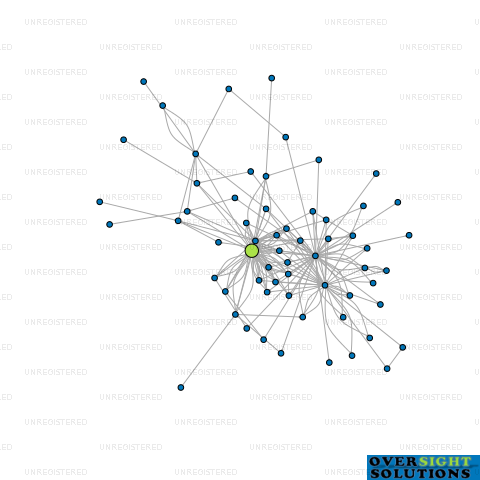 Network diagram for NZ BUILD GROUP LTD