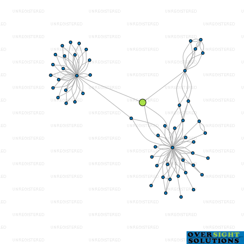Network diagram for MONTE CASINO APARTMENTS LTD