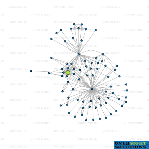 Network diagram for OCEAN BEACH FARM HOLDINGS LTD