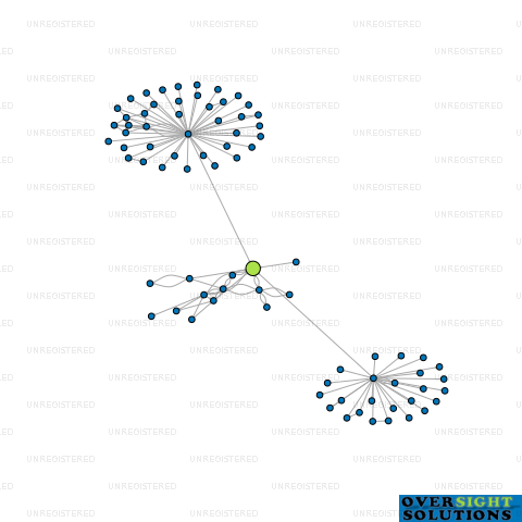 Network diagram for CONCENTRATE NZ LTD