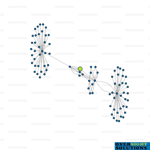Network diagram for BEE ORA LTD