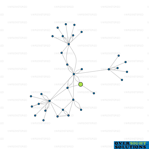 Network diagram for TRIDENT CAPITAL MANAGEMENT LTD