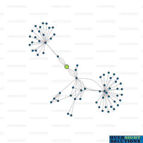 Network diagram for SELL MY ART LTD