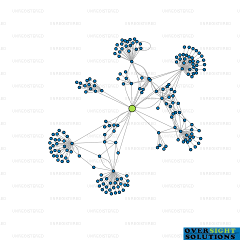 Network diagram for COMAN DEVELOPMENTS LTD