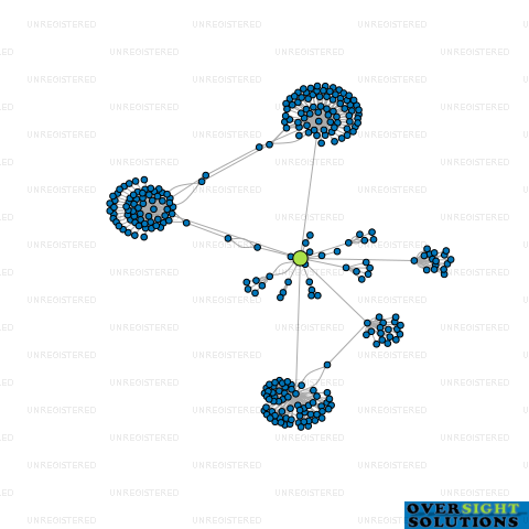 Network diagram for HIC NOMINEE COMPANY LTD