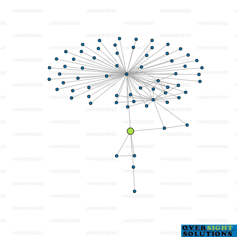 Network diagram for SUNNY NAIR TRUSTEES LTD