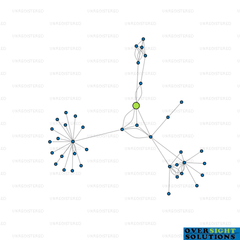 Network diagram for SPRINGVIEW AGRICULTURE LTD