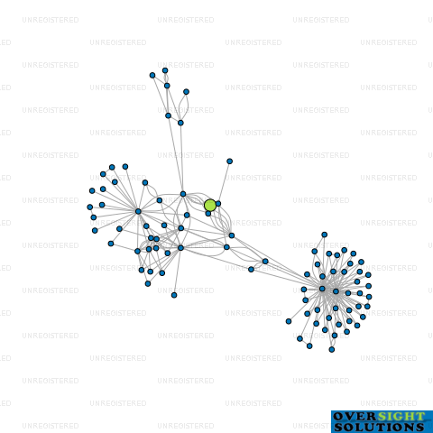 Network diagram for WINAKI LTD