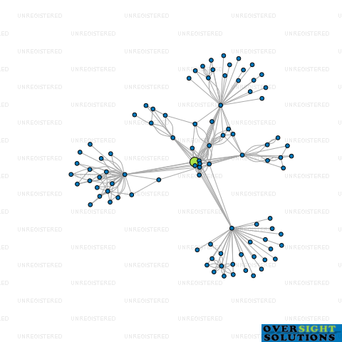 Network diagram for MODINA TRENTON LTD