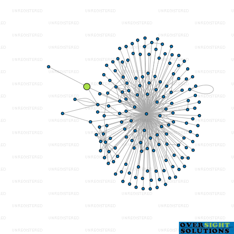 Network diagram for AUSTIN BLUEWATER ENVIRONMENTAL CONCEPTS LTD