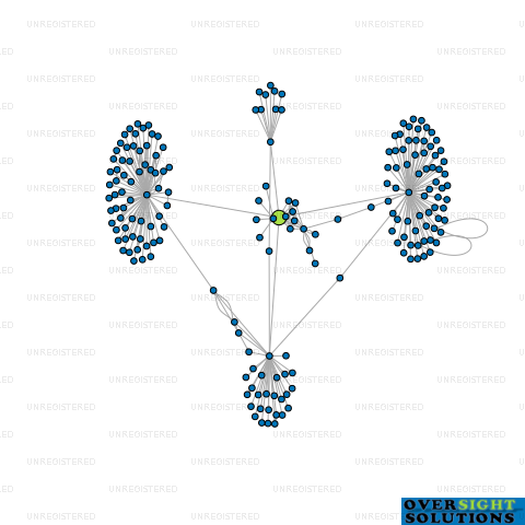 Network diagram for CONSTELLATION BRANDS NEW ZEALAND LTD