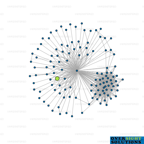 Network diagram for BLUE OCEAN INTERNATIONAL LTD