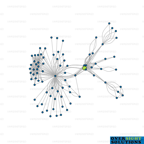 Network diagram for INFUSION ARCH LTD