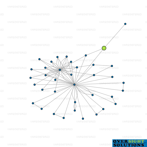 Network diagram for TRELLECH SUBTLE ART LTD