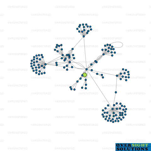Network diagram for RJG  ERW INVESTMENTS LTD