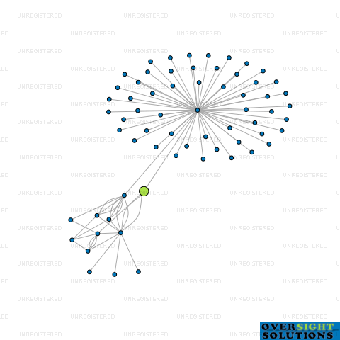 Network diagram for BD ENERGY GROUP LTD