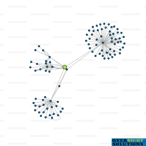 Network diagram for DAMAR INDUSTRIES LTD